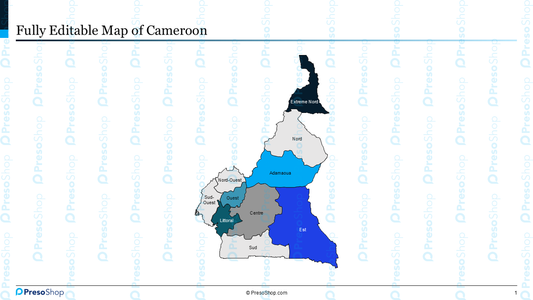Editable-map-of-Cameroon