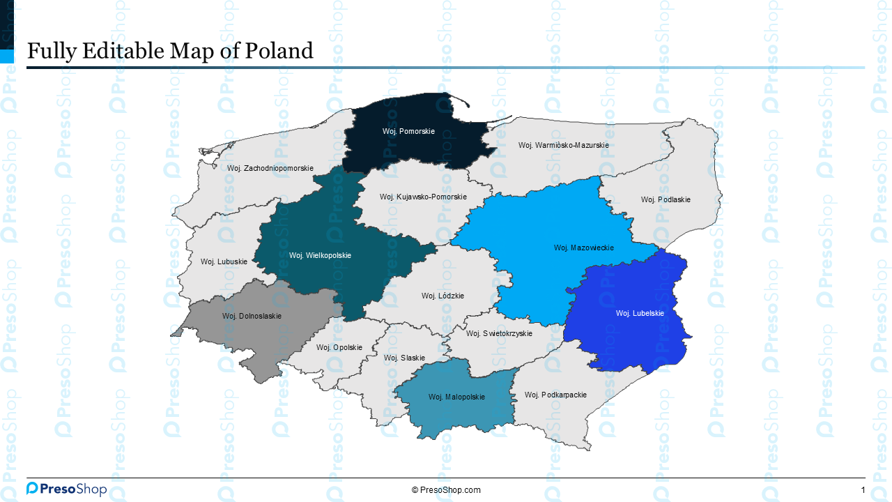 Editable-map-of-Poland