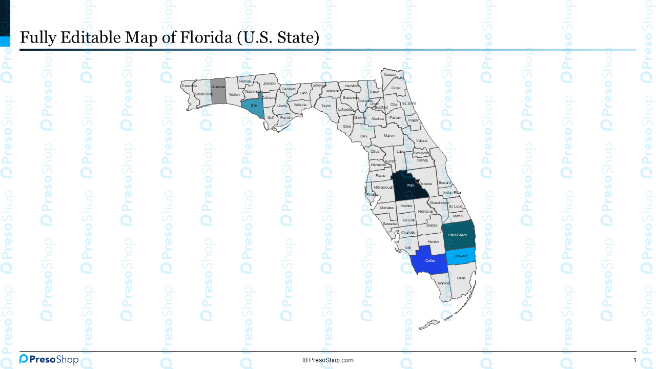 Editable-map-of-florida