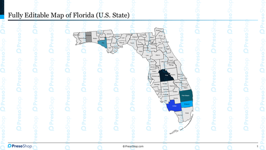 Editable-map-of-florida