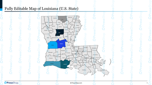 Editable-map-of-louisiana